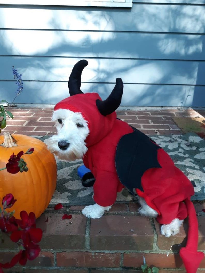 Devil Dog Costume Devil Pet Costume Dog Halloween Costume Etsy