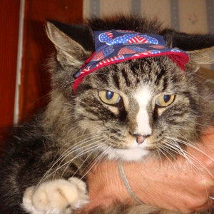 Medium Dog Visor Hat