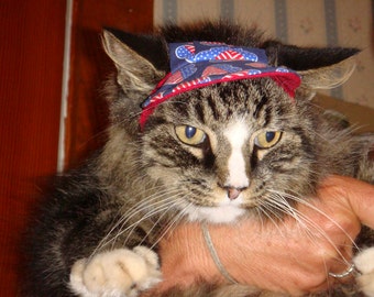 Medium Dog Visor Hat