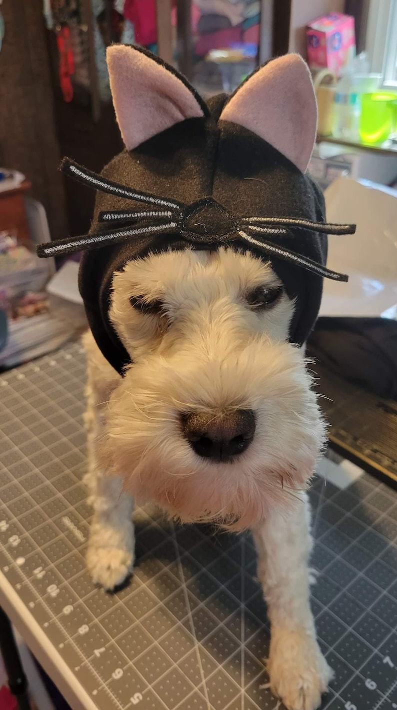 May include: A white dog wearing a black cat costume with pink ears and white whiskers. The dog is standing on a gray cutting mat.