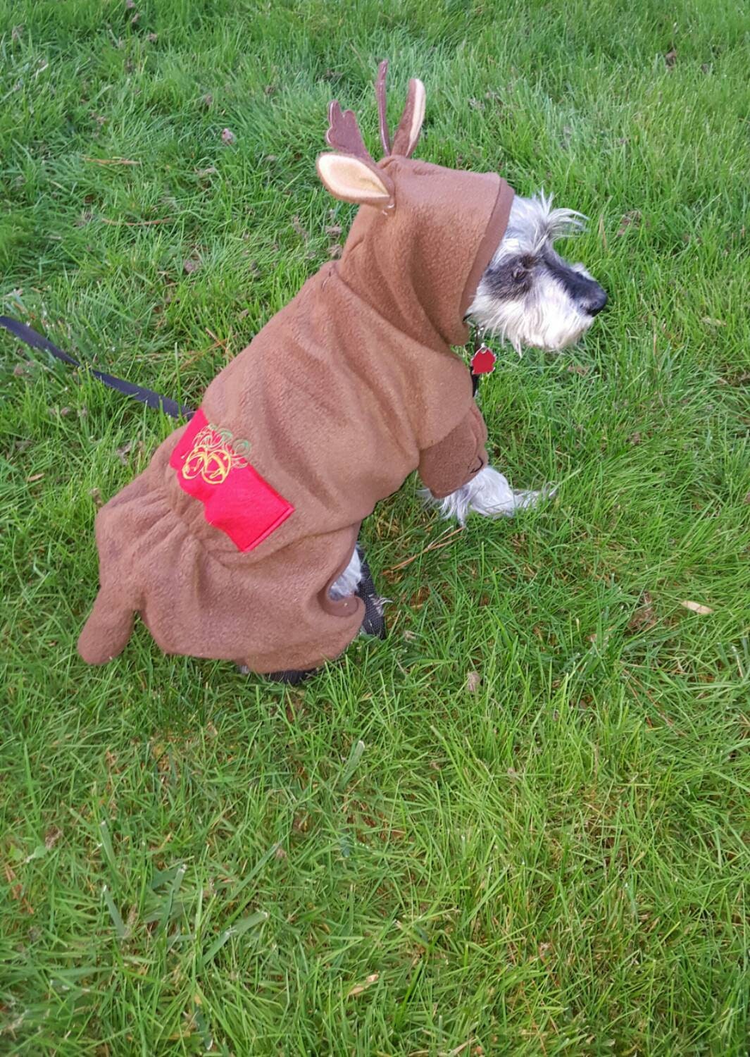 reindeer outfit dog