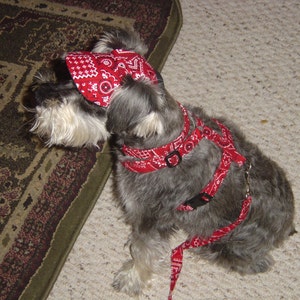 Small Dog Visor Hat image 1