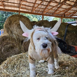 Highlands Cow Dog Costume Pet Cow Costume Halloween Fluffy Floofy Cow Costume Etsy