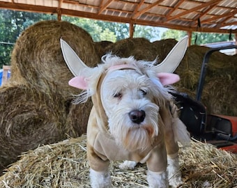 Highlands Cow Dog Costume, Pet cow Costume Halloween fluffy floofy cow costume