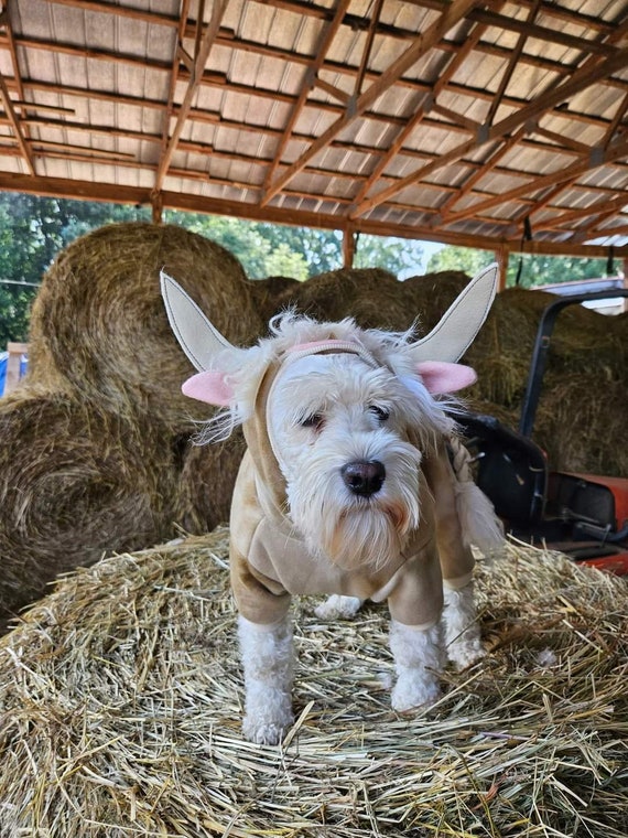 Cow costumes for dogs deals