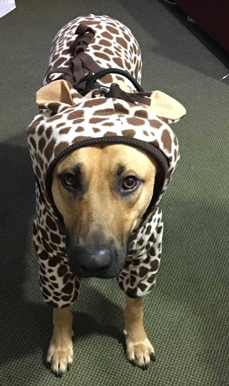 Pet Giraffe Outfit Costume Hooded Pajamas Etsy