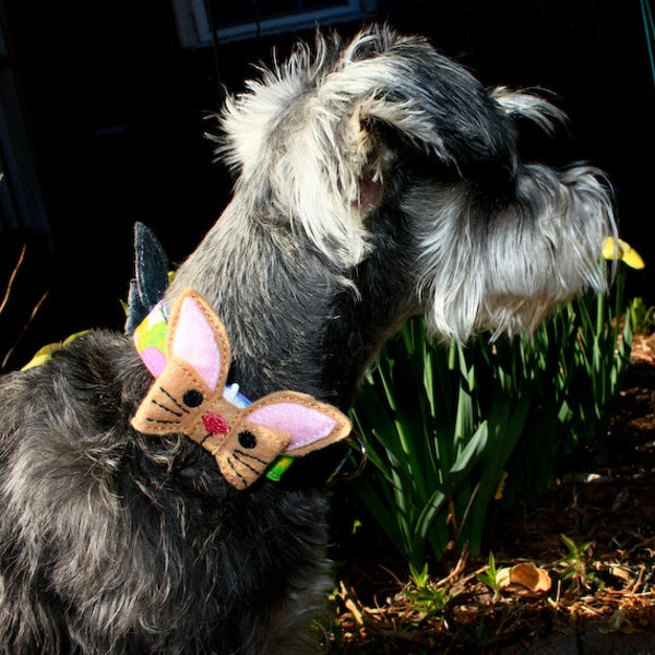 Bunny dog Collar Bow, Easter bunny dog bow, Easter dog bow tie,  dog Easter bow, Easter bunny dog Bow, dog hair bow, rabbit dog bow