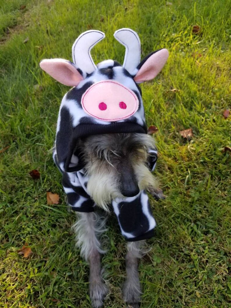 Dog cow Costume Pet cow Costume Halloween cow bull costume Etsy