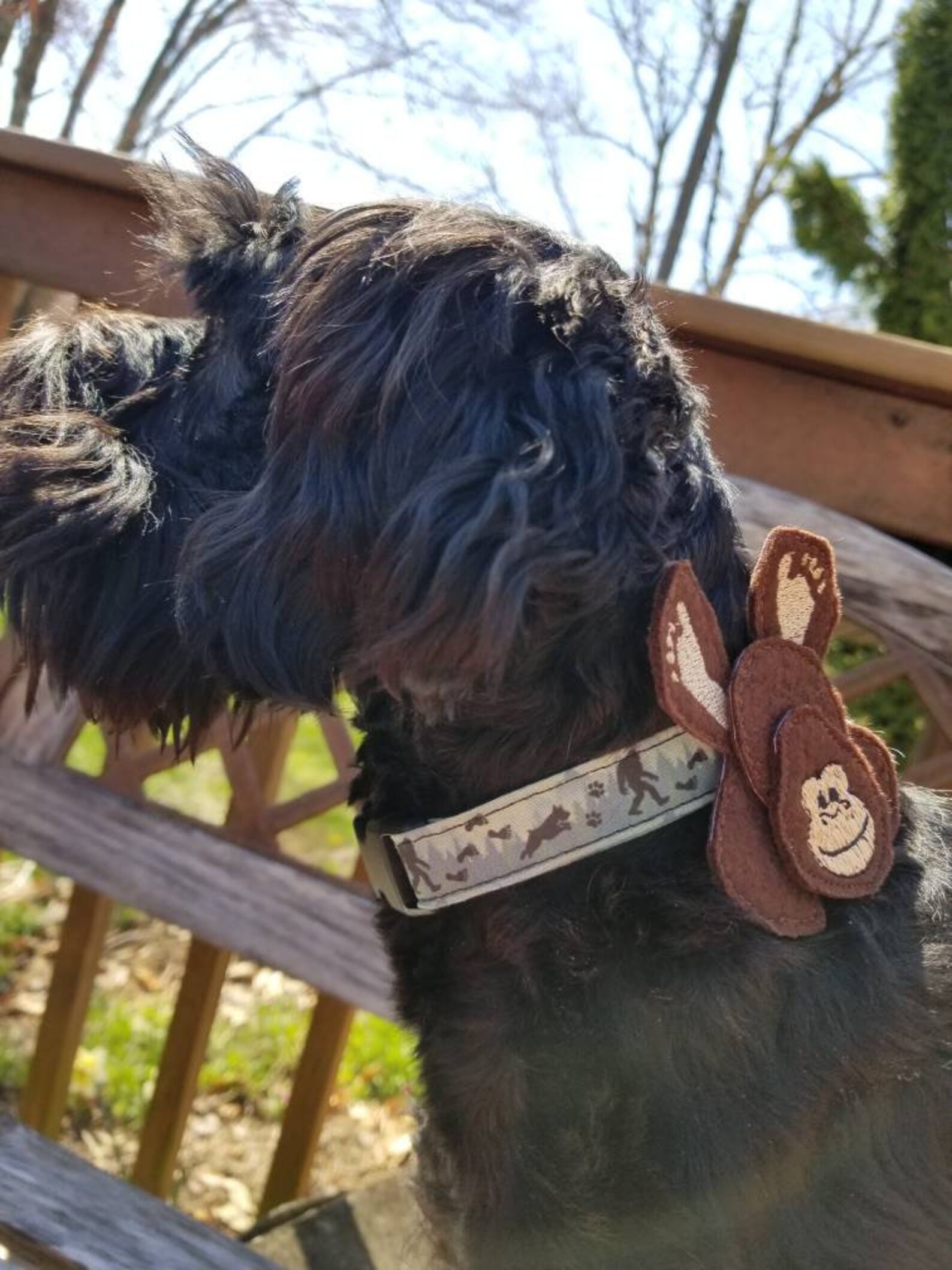Bigfoot Dog Collar Bow Etsy