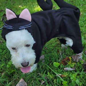 May include: A white dog wearing a black cat costume with pink ears and a black tail. The dog is standing on green grass with brown leaves.