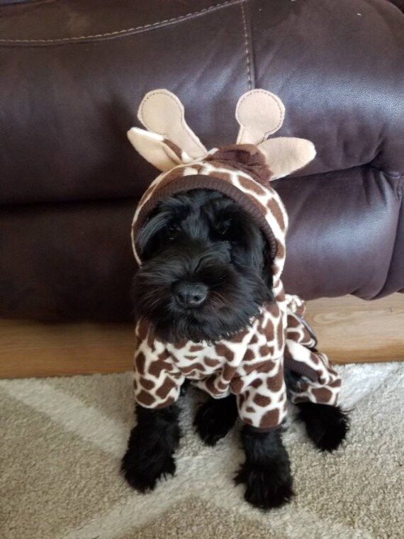 dog dressed as giraffe