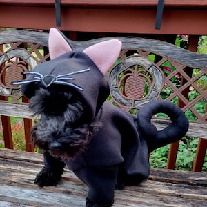 May include: A black dog wearing a black cat costume with pink ears and a black tail. The dog is sitting on a wooden bench with a metal lattice design.