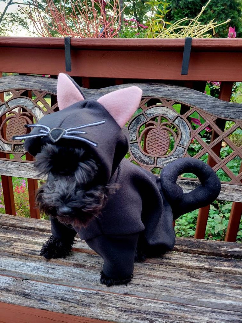 May include: A black dog wearing a black cat costume with pink ears and a black tail. The dog is sitting on a wooden bench with a metal lattice design.