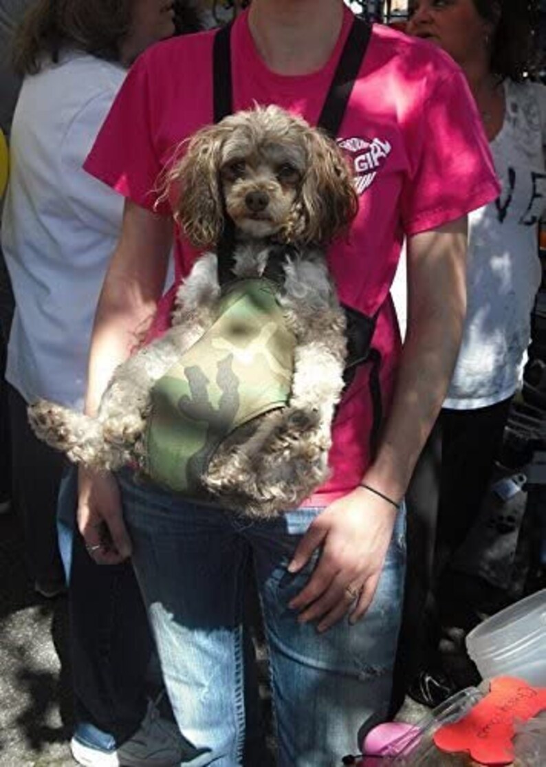 May include: A small brown and white dog wearing a camouflage dog carrier. The dog is being held by a person wearing a pink shirt with the word "Girl" on it.