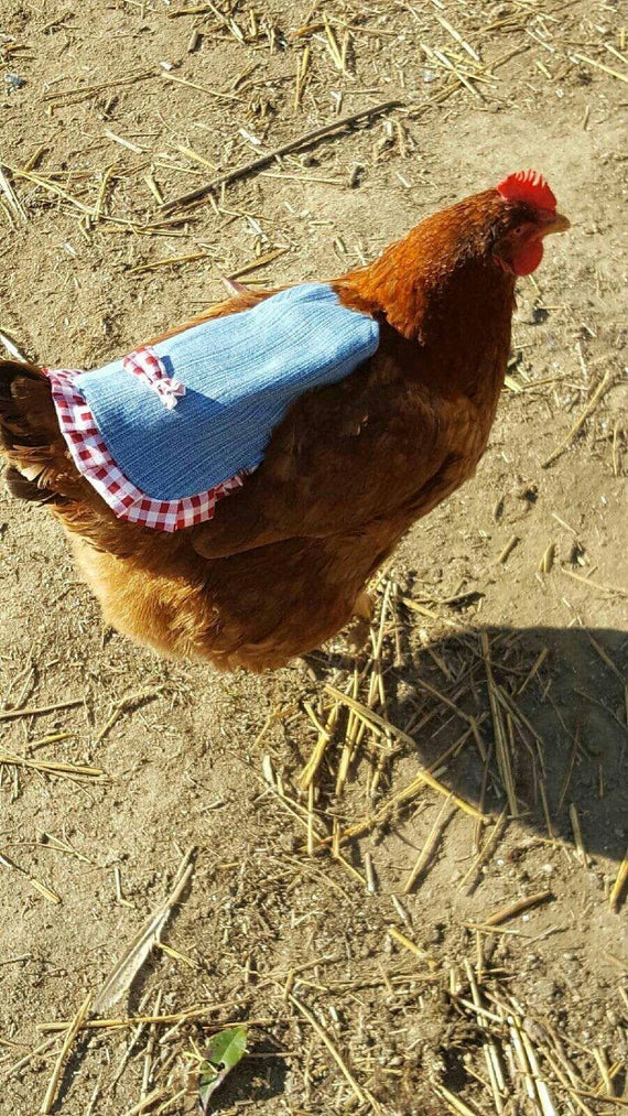 Kiuiom Selle De Poulet Noire - Tablier Protection Dos Et Ailes Pour Poules, Respirant Et Élastique, Anti-Picage Et Soleil