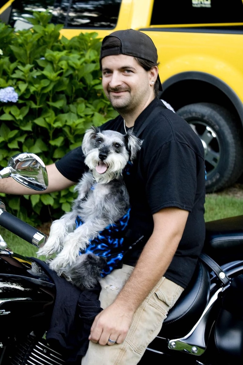 May include: A man wearing a black t-shirt and a black baseball cap is holding a small gray and white dog in a blue and black carrier. The man is sitting on a black motorcycle.