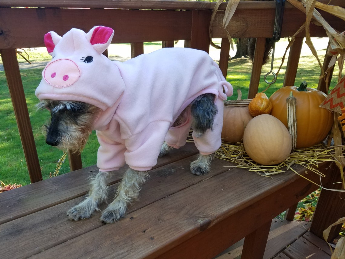Dog Pig Costume Pet Pig Costume Halloween Pig costume Etsy