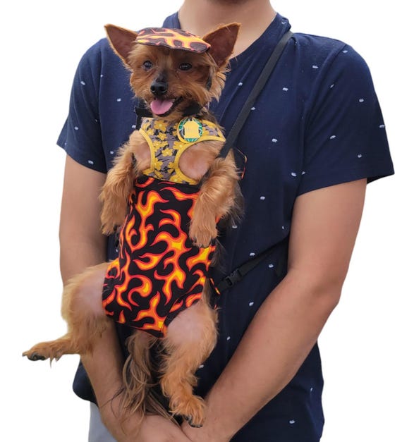 Front Pet Carrier