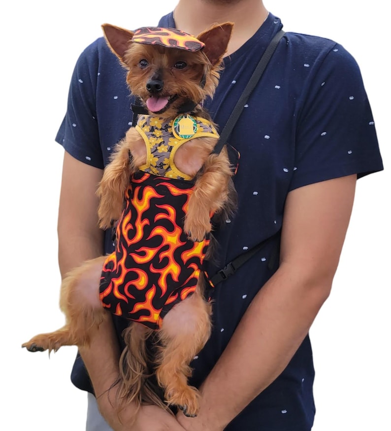 May include: A small brown and black dog wearing a flame-patterned carrier with a yellow and black harness and a brown hat. The dog is being held by a person wearing a blue shirt.