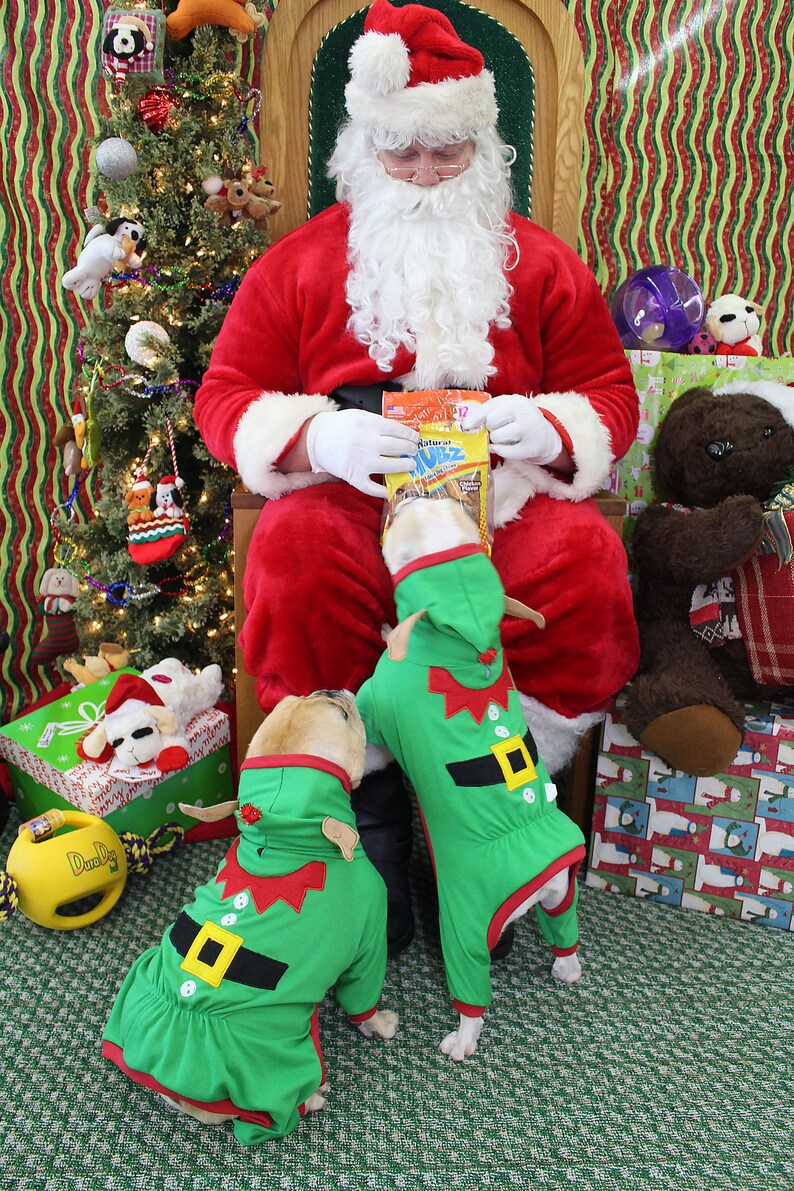 Dog Elf Pajamas Dog Elf Costume Hooded Pajamas dog elf Etsy