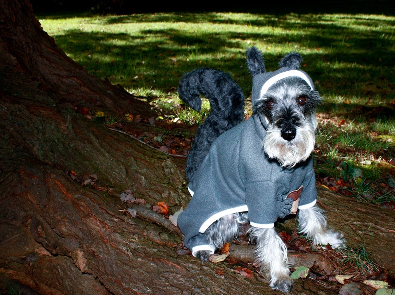 Dog Squirrel Costume Squirrel Dog Costume Dog Halloween Costume Squirrel Dog Pajama Pet Squirrel Halloween Costume image 1