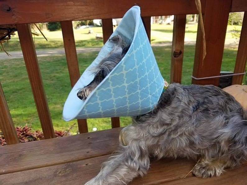 Soft Dog Cone Soft E Collar Cone Collar Recovery Cone Dog Etsy