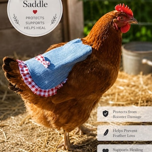 May include: A brown hen wearing a blue denim chicken saddle with a red and white gingham trim. The saddle has a small bow and is designed to protect, support, and help heal. Text on the image reads "Chicken Saddle".