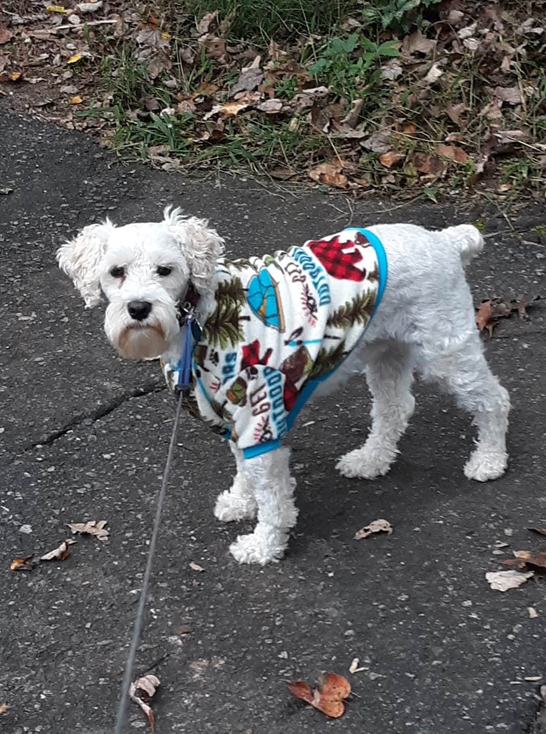 Camping Print Dog Sweater Hoodie Warm Pet Fleece Sweater | Etsy
