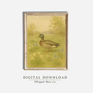 Mallard Duck Watercolor Print: Rustic Farmhouse Wall Art (Digital Download)