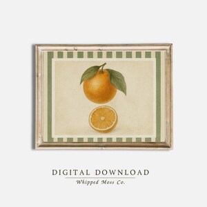 Vintage Orange Botanical Print: Retro Citrus Kitchen Wall Art (Digital Download
