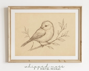 ヴィンテージの鳥の線画 - 枝に止まる2羽の鳥を描いたボタニカルインク
