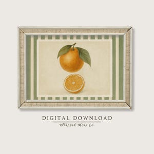 Vintage Orange Botanical Print: Retro Citrus Kitchen Wall Art (Digital Download)
