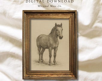 Vintage Horse Sketch Printable | Rustic Farmhouse Equestrian Wall Art | Country Animal Drawing Digital Download