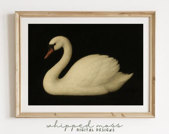 DHAEY Quadro Su Tela Animali Moderni Immagini della serie Cigno bianco 13.Immagini con stampa animalier per la decorazione della parete di casa