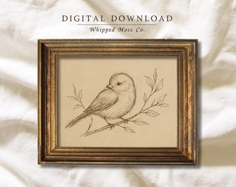Vintage Bird Line Art Print: Minimalist Songbird Drawing (Digital Download)