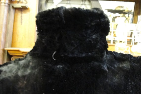 Depression Era Pappas Furriers Full Length Sheare… - image 4