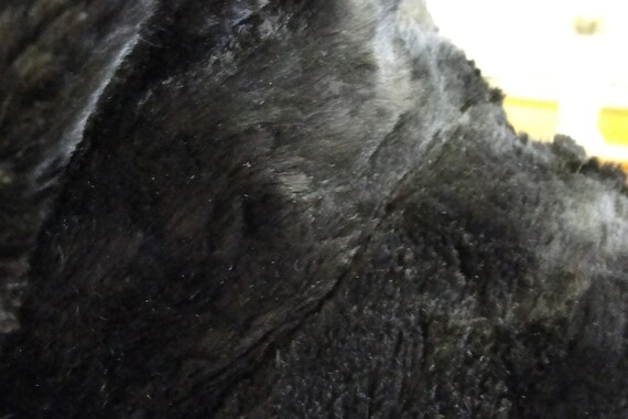 Depression Era Pappas Furriers Full Length Sheare… - image 5