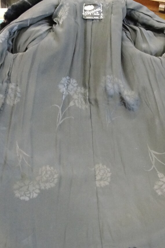 Depression Era Pappas Furriers Full Length Sheare… - image 7