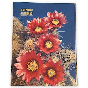 Könnte beinhalten: Ein Vintage-Magazincover mit einer Nahaufnahme von roten Kaktusblüten vor blauem Hintergrund. Das Magazin trägt den Titel "Arizona Highways" mit dem Datum "Dezember 1947" darunter.
