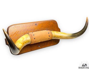 Early 1900s Set of Bull Horn - Aged Patina  - Bull Horn Mounted on Quarter Sawn White Oak Bound w Red Velvet - Frontier Antique