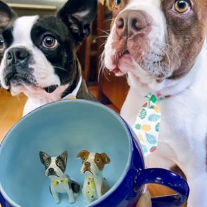 Personalized pet mug custom pet mug ceramic peekaboo mug/hidden animal coffee mug/Custom Cat and Dog Ceramic Mug/Gift For Dog Owner/dog mug