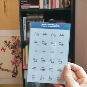 Hoja de pegatinas transparentes de 20 mm para planificador con frases de enojo y frustración, clasificación PG-13
