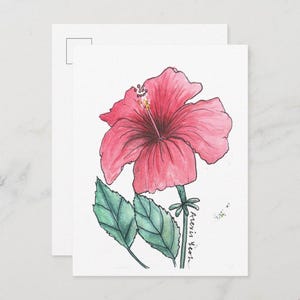 carte postale d'hibiscus