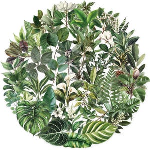 May include: A circular arrangement of various green leaves and white flowers. The image features a diverse collection of foliage, including large, textured leaves and delicate blossoms, creating a lush, botanical design. The leaves vary in shades of green.