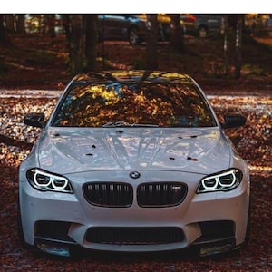 Könnte beinhalten: Ein weißer BMW M5 mit schwarzen Akzenten, darunter ein schwarzer Kühlergrill und schwarze Außenspiegel. Das Auto steht in einer Waldumgebung mit heruntergefallenen Blättern auf dem Boden.