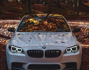 Bmw F10 DTM Stil Angel New Cotton