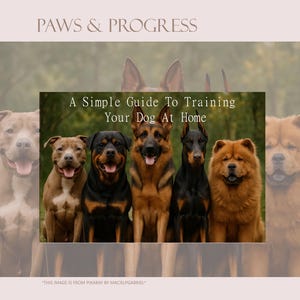 Dog Training eBook for Beginners At-Home Puppy and Adult Dog Obedience Guide Bonus Dog Breed behavior and Temperament Guide PDF