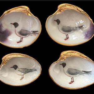 May include: Four decorative seashells with gold-painted rims. Each shell features a hand-painted image of a seagull. The seagulls are depicted in shades of gray, black, and white, with red feet, set against a white background.