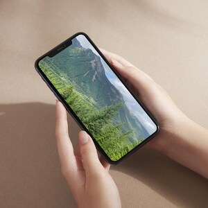 Custodia per telefono, paesaggio del parco nazionale del monte Rainier, regalo per gli amanti della natura, custodia per telefono avventurosa, custodia per albero di pino silvestre, per gli amanti dell'aria aperta