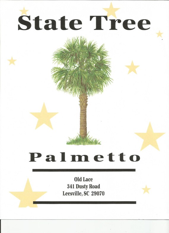 One Chart Palmetto